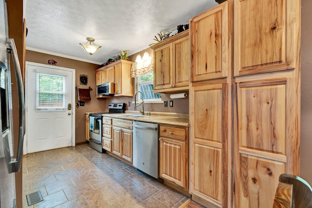 kitchen with ornamental molding, appliances with stainless steel finishes, sink, and a wealth of natural light