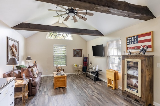 living area featuring lofted ceiling with beams, ceiling fan, plenty of natural light, and dark hardwood / wood-style flooring