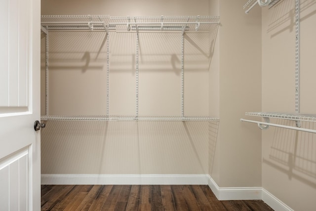 walk in closet with dark hardwood / wood-style floors