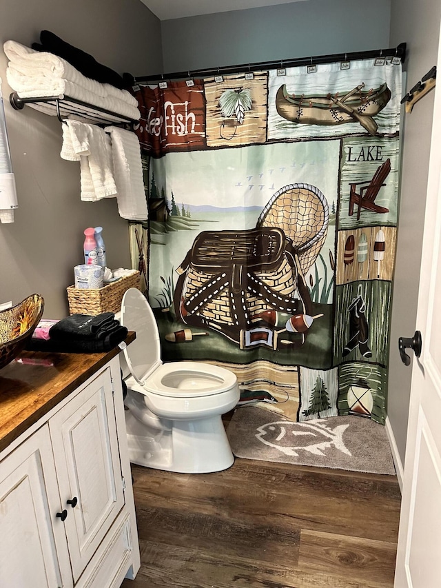 bathroom featuring vanity, toilet, and wood-type flooring