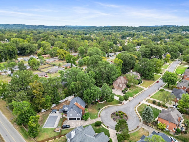 bird's eye view