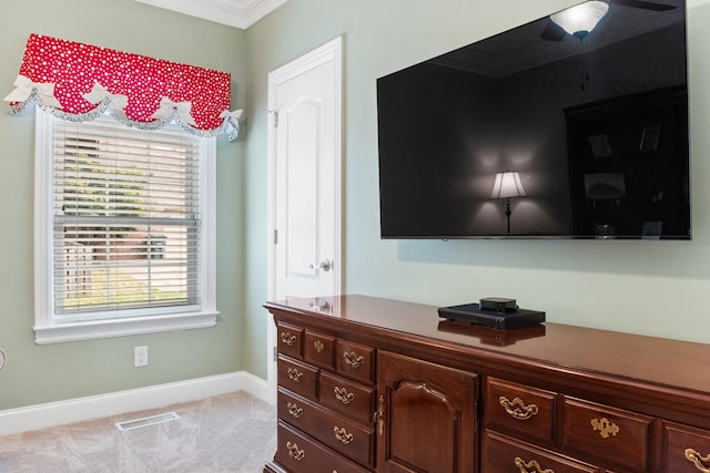 interior details featuring ornamental molding and carpet