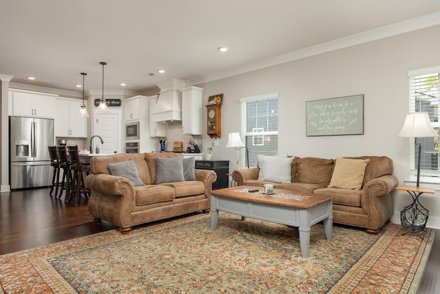 living room with sink, dark wood-type flooring, and crown molding