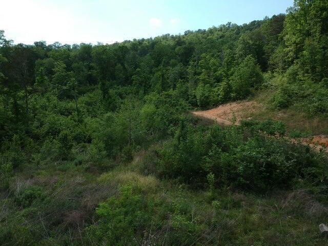2352 Byrds Chapel Rd, Rising Fawn, GA 30738 - photo 38