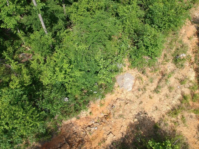 2352 Byrds Chapel Rd, Rising Fawn, GA 30738 - photo 24
