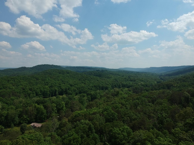 2352 Byrds Chapel Rd, Rising Fawn, GA 30738 - photo 1