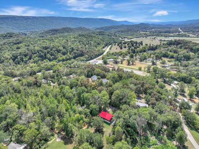 drone / aerial view featuring a mountain view