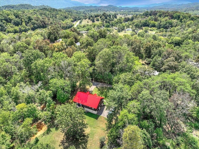 drone / aerial view with a mountain view