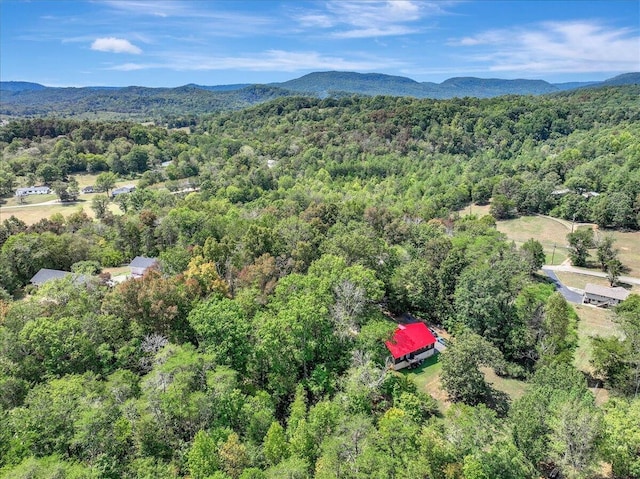 drone / aerial view featuring a mountain view