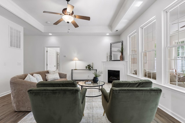 living room featuring a raised ceiling, dark hardwood / wood-style floors, and ceiling fan