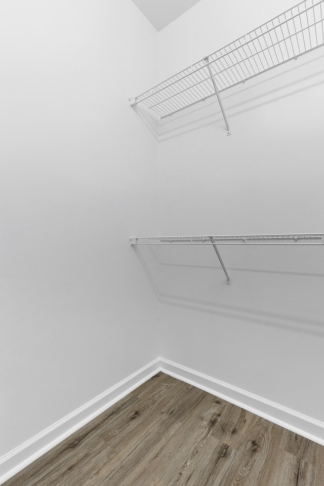 spacious closet featuring hardwood / wood-style flooring