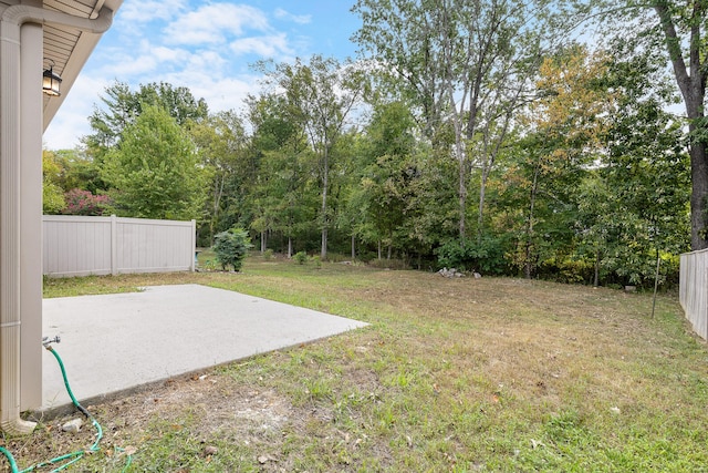 view of yard featuring a patio