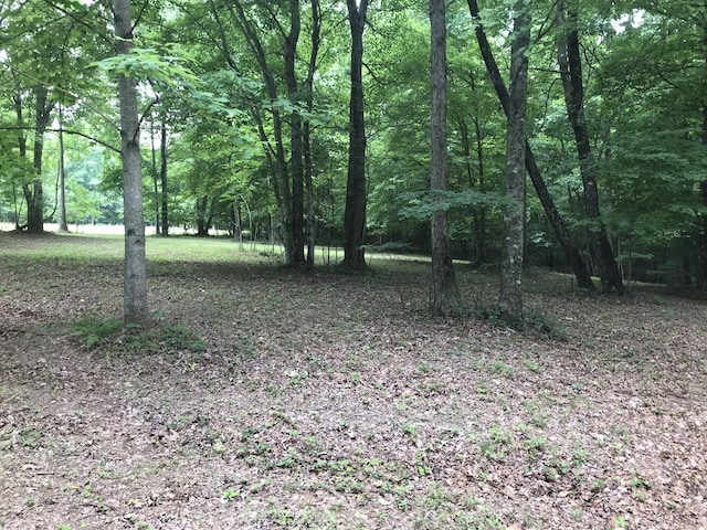 503 Wilderness Way, Dunlap TN, 37327 land for sale