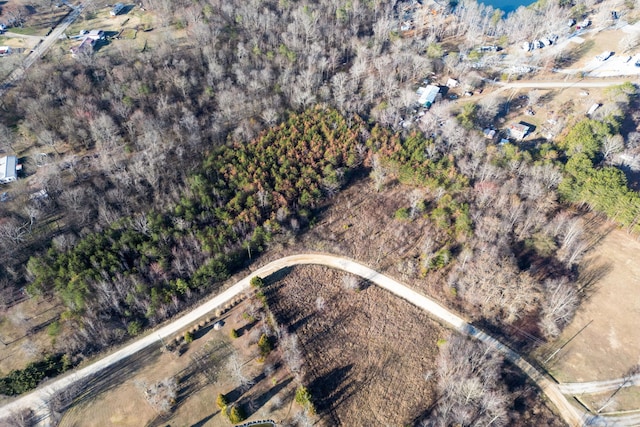 3 Denvil Dr, Trenton GA, 30752 land for sale