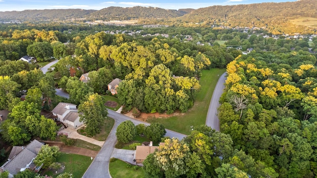 bird's eye view with a mountain view