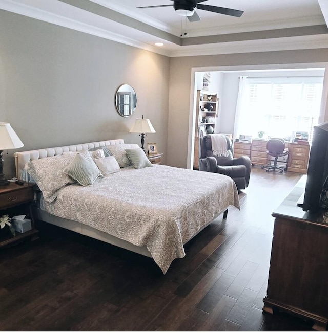 bedroom featuring ornamental molding, a tray ceiling, ceiling fan, and dark wood-type flooring