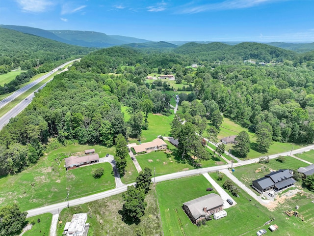 birds eye view of property with a mountain view