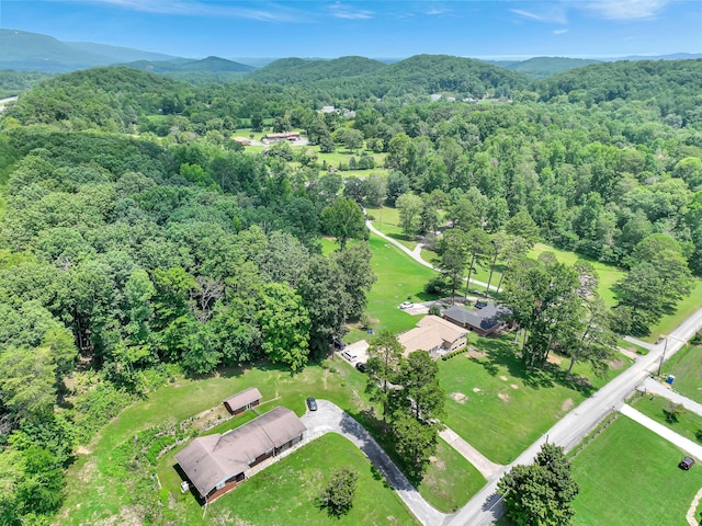 drone / aerial view featuring a mountain view