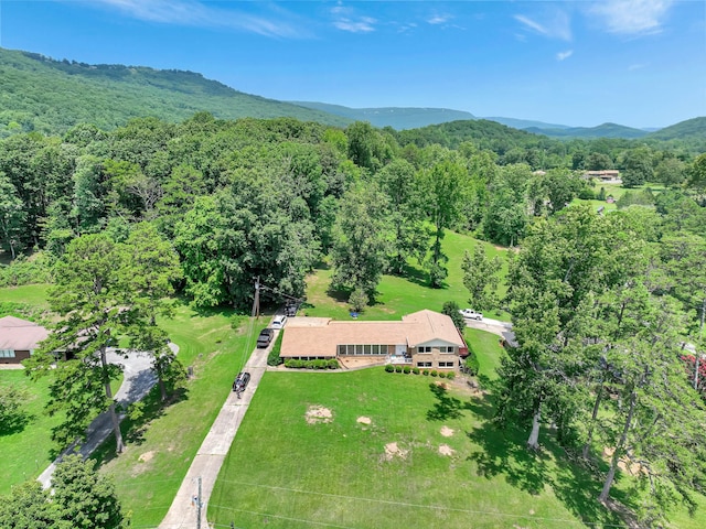 birds eye view of property featuring a mountain view