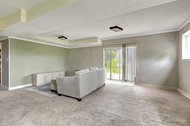 unfurnished living room with a raised ceiling, light carpet, and crown molding