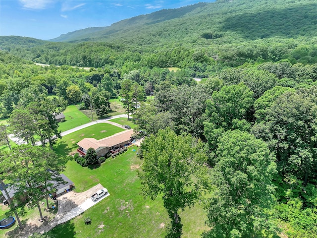 drone / aerial view featuring a mountain view