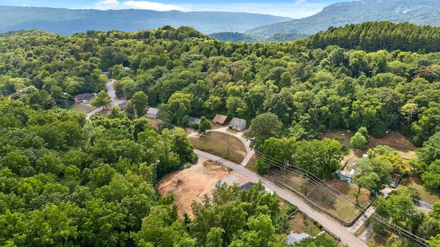 birds eye view of property featuring a mountain view