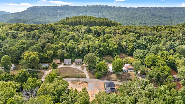 bird's eye view with a mountain view