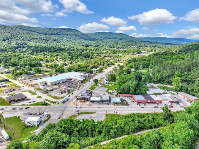 drone / aerial view featuring a mountain view