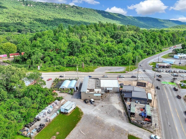 drone / aerial view featuring a mountain view