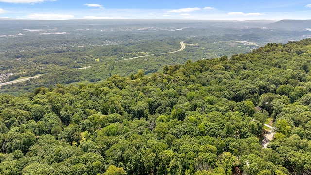 bird's eye view featuring a mountain view