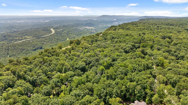 drone / aerial view with a mountain view