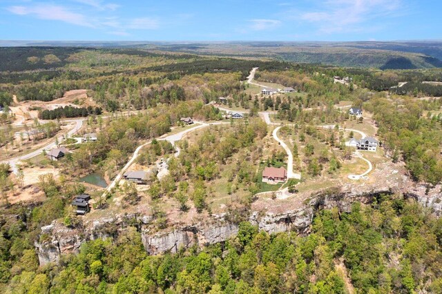 0 Bear Crawl Rd, Jasper, TN 37347 - photo 3