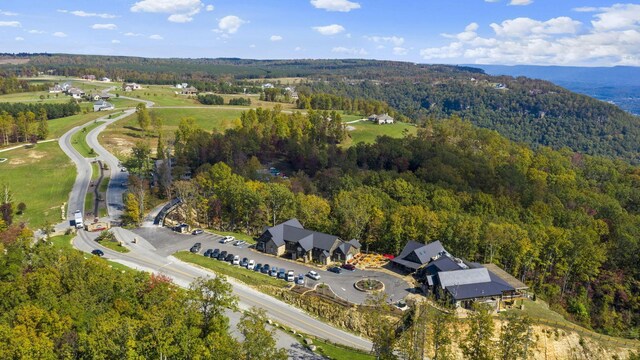0 Bear Crawl Rd, Jasper, TN 37347 - photo 9