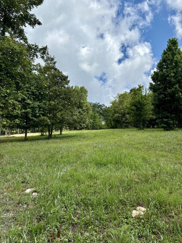 0 Bear Crawl Rd, Jasper, TN 37347 - photo 6