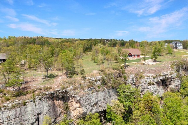 0 Bear Crawl Rd, Jasper, TN 37347 - photo 5