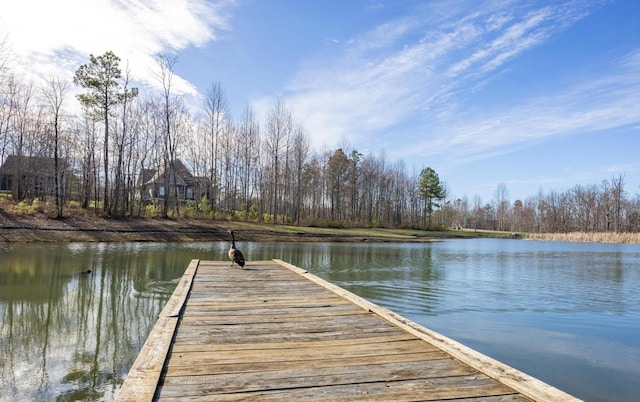 0 Bear Crawl Rd, Jasper, TN 37347 - photo 12