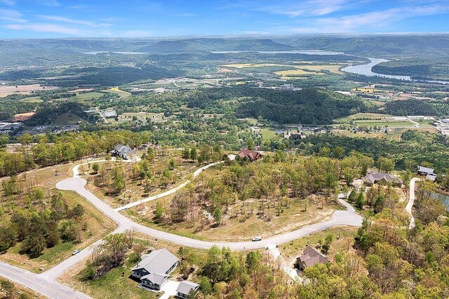 0 Bear Crawl Rd, Jasper, TN 37347 - photo 4