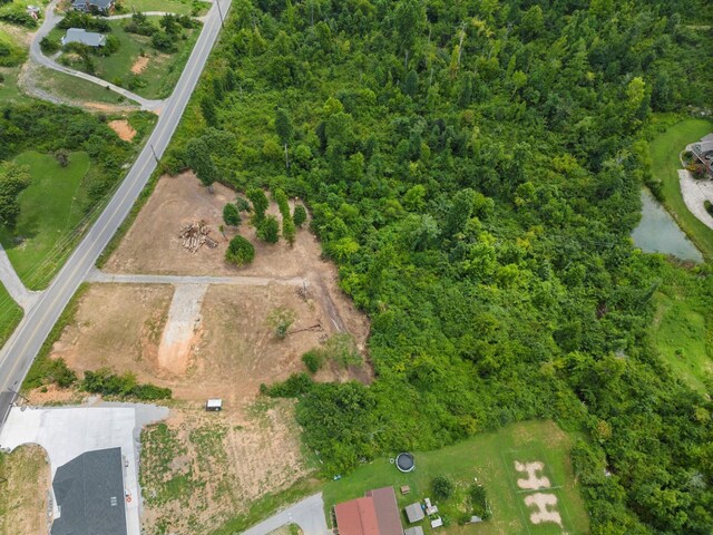 8016 Standifer Gap Rd, Chattanooga, TN 37421 - photo 7