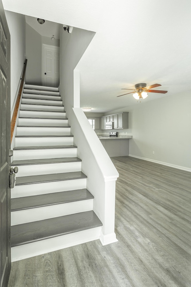 stairs featuring ceiling fan and hardwood / wood-style floors