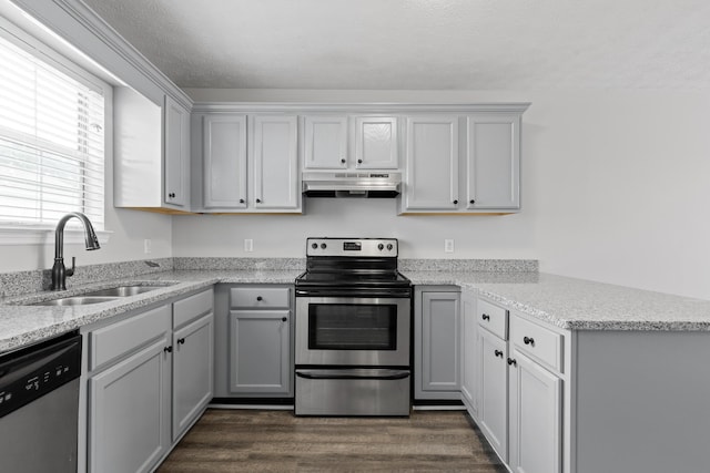 kitchen featuring appliances with stainless steel finishes, gray cabinetry, kitchen peninsula, dark hardwood / wood-style floors, and sink