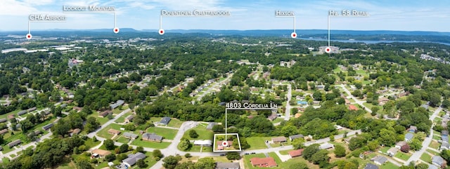 4803 Cordelia Ln, Chattanooga, TN 37416 - view of property location featuring property boundaries highlighted