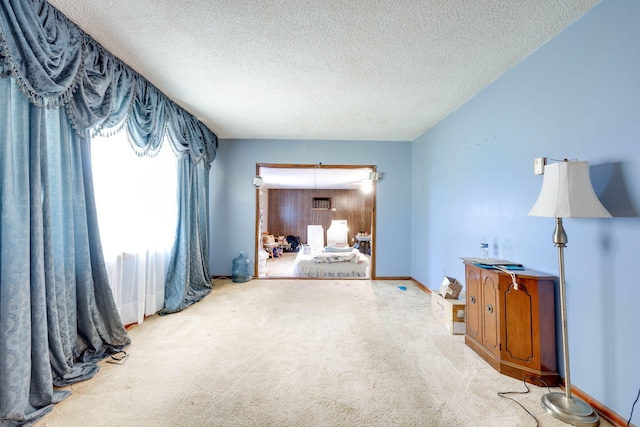 interior space with light carpet and a textured ceiling