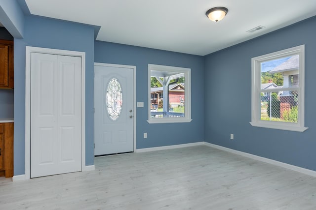 foyer with a wealth of natural light and light hardwood / wood-style floors