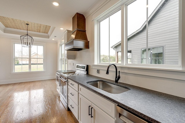 kitchen with white cabinetry, appliances with stainless steel finishes, sink, and a tray ceiling