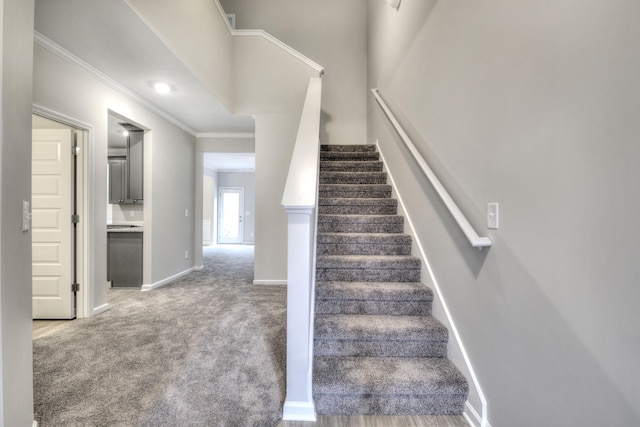 stairway with ornamental molding and carpet flooring