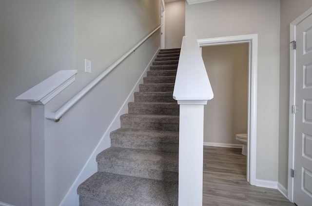 stairway featuring wood-type flooring