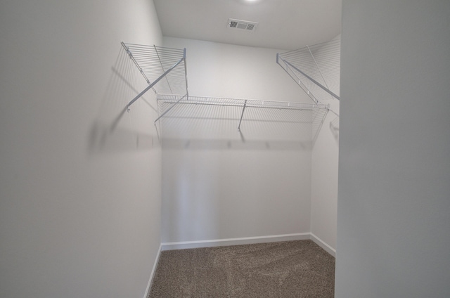 walk in closet with carpet