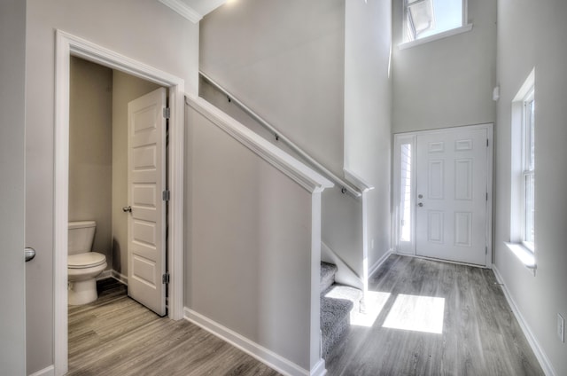 entryway featuring light hardwood / wood-style flooring and a towering ceiling