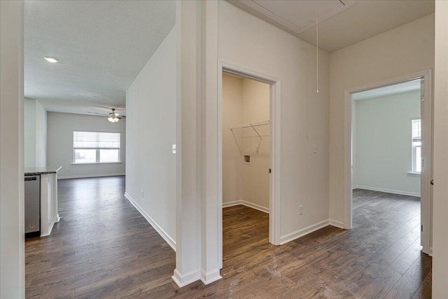 corridor with dark hardwood / wood-style flooring