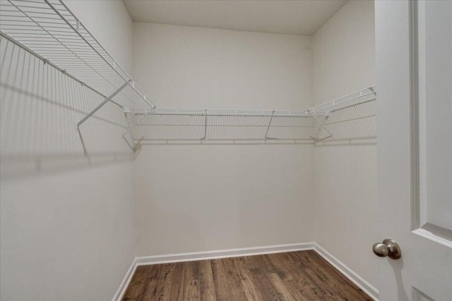 walk in closet featuring dark hardwood / wood-style floors